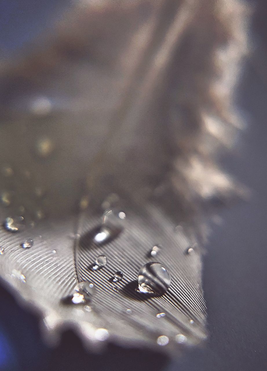 FULL FRAME SHOT OF WATER DROP ON METAL