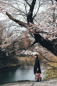 Woman standing under cherry blossom tree by river