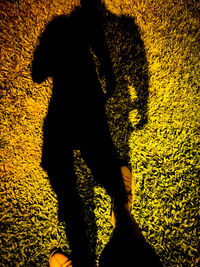 Shadow of man standing on floor