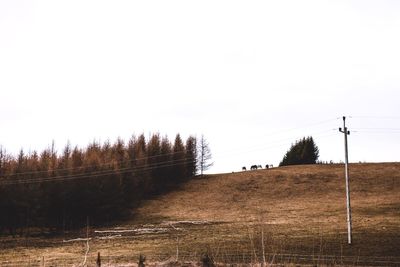 Scenic view of field against clear sky