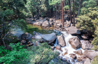 Stream flowing through rocks in forest