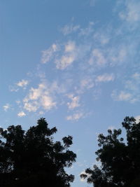 Low angle view of silhouette trees against sky