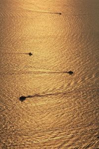 Ships sailing across the sea in the golden light of sunset