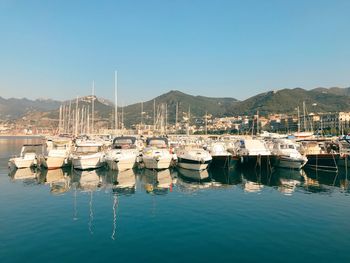 Sailboats moored at harbor against clear sky