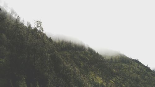 Scenic view of landscape against clear sky