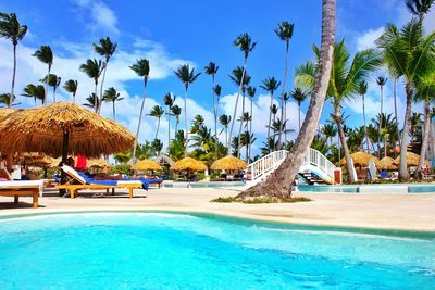 Palm trees against blue sky