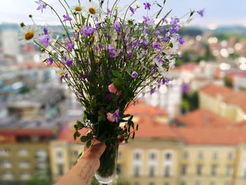 Close-up of hand holding flowers