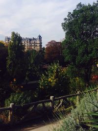 Trees and plants in garden