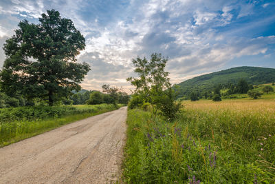 Dirt road amidst field against sky