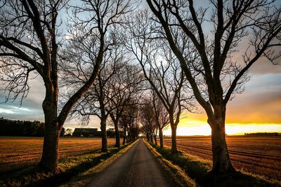 Bare trees by road against sky during sunset