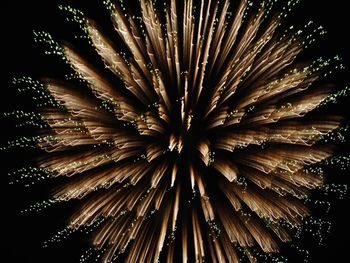 Low angle view of firework display
