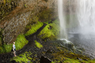 Scenic view of waterfall