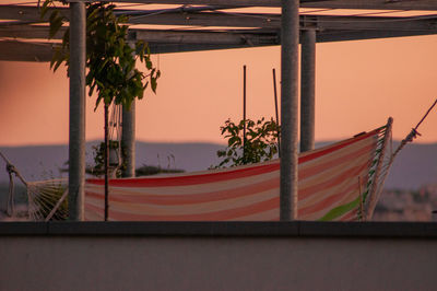 Potted plant by palm trees against sky during sunset