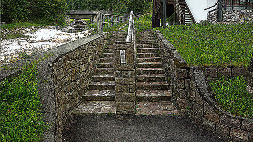 View of staircase in forest