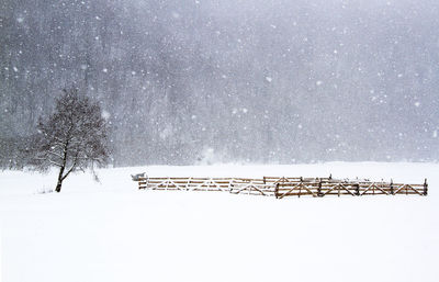 View of snow covered landscape