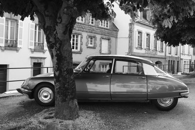 Cars parked in front of building