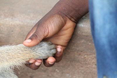 Close-up of man holding hand