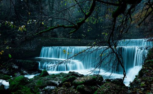 Scenic view of waterfall in forest