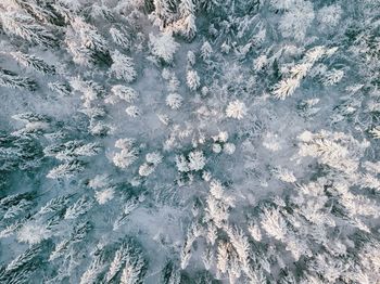 Full frame shot of water flowing in swimming pool