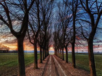 Footpath amidst bare trees in park