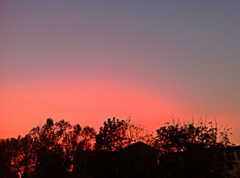 Low angle view of trees against sky at sunset