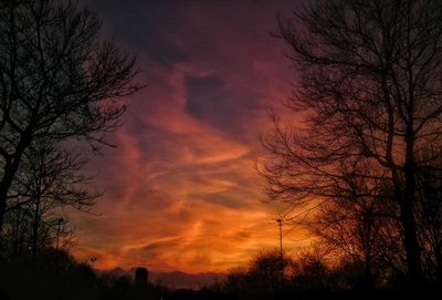 Silhouette of trees at sunset