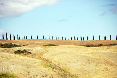 Wooden fence on field against sky