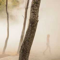 Man standing by tree trunk during foggy weather