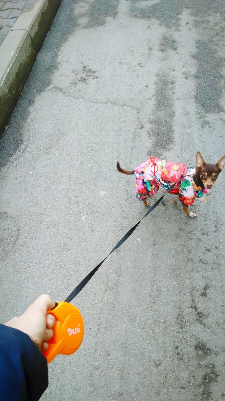 HIGH ANGLE VIEW OF MAN HAND HOLDING UMBRELLA