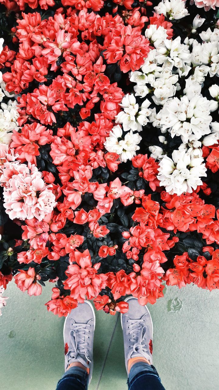 LOW SECTION OF PERSON STANDING ON FLOWER AGAINST THE WALL