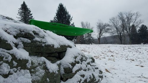 Snow covered trees on landscape against sky