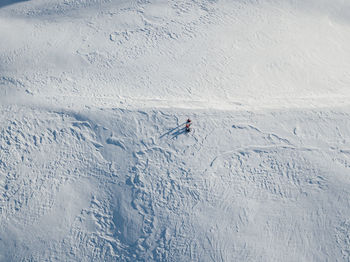 People skiing on snow covered field