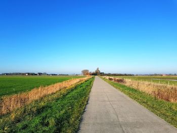 Scenic view of field against clear blue sky