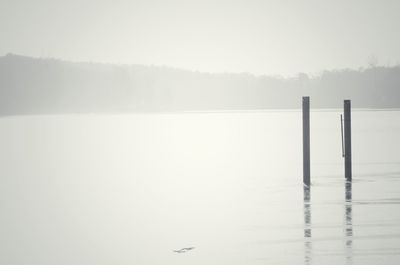 Scenic view of lake against clear sky