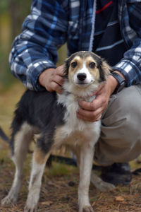 Portrait of dog standing on land