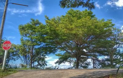 Road sign by trees against sky