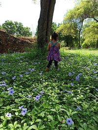 Rear view of women amidst flowering trees