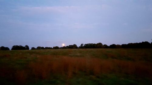 Scenic view of field against sky at sunset