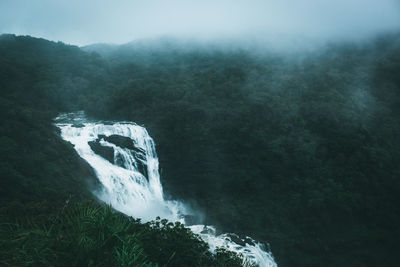 Scenic view of waterfall in forest