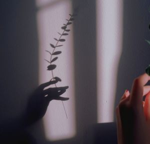 Cropped hand of woman against wall