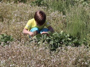 Rear view of boy on grassy field