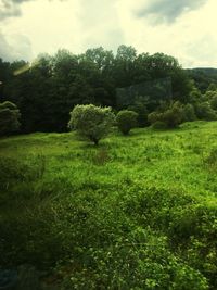 Scenic view of landscape against cloudy sky