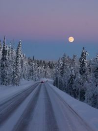 Road amidst trees against sky during winter