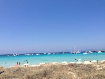 Sailboats in sea against clear blue sky