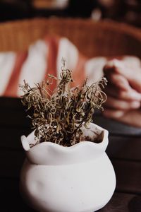 Close-up of dry potted plant on table