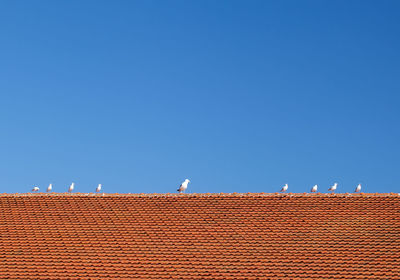 Low section seagulls perching on house roof against clear blue sky