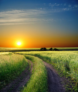 Scenic view of agricultural field against sky during sunset