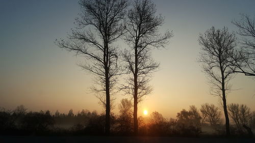 Silhouette bare tree against clear sky during sunset