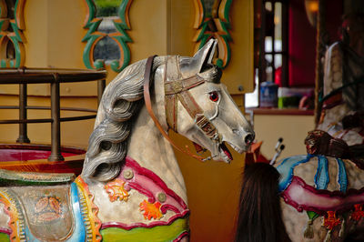 Close-up of multi colored horse