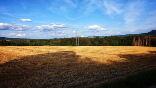 Scenic view of field against sky